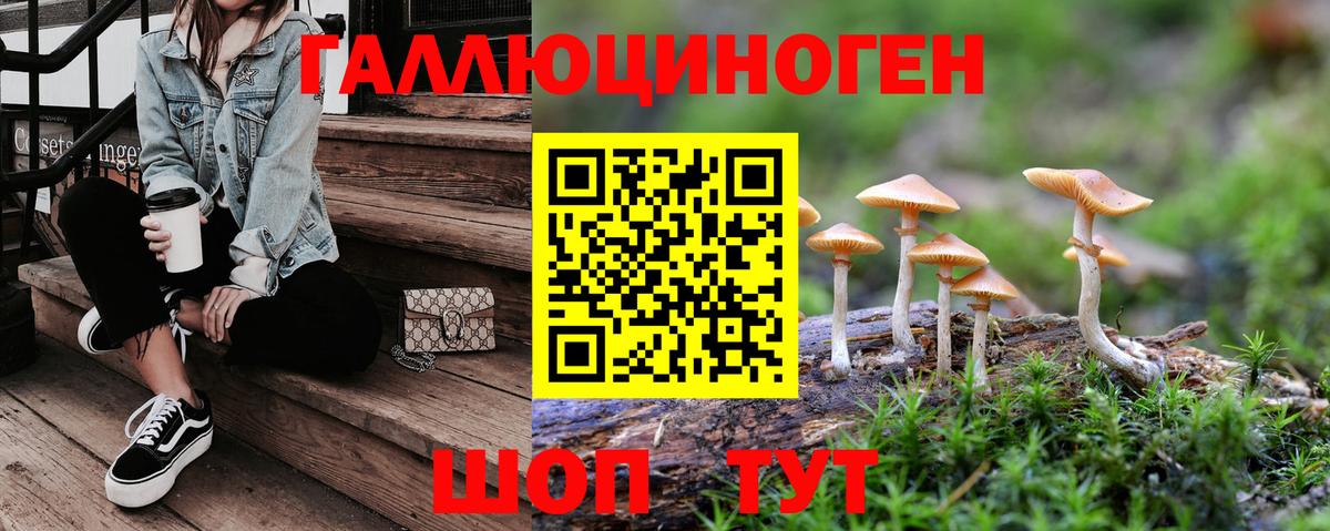 Псилоцибиновые грибы Psilocybe  Вход с VPN  Рязань 