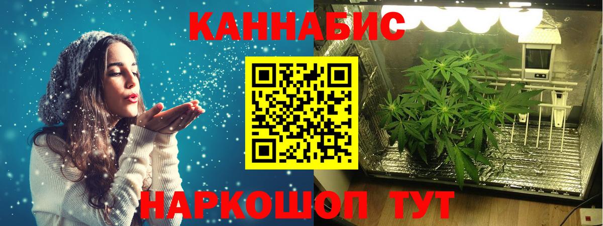 Канабис ГИДРОПОН  Бошки марихуана White Widow  Рязань  Марихуана AK-47  Вход с VPN 
